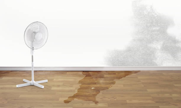 Best Water damage restoration specialists  in Fairview, OR