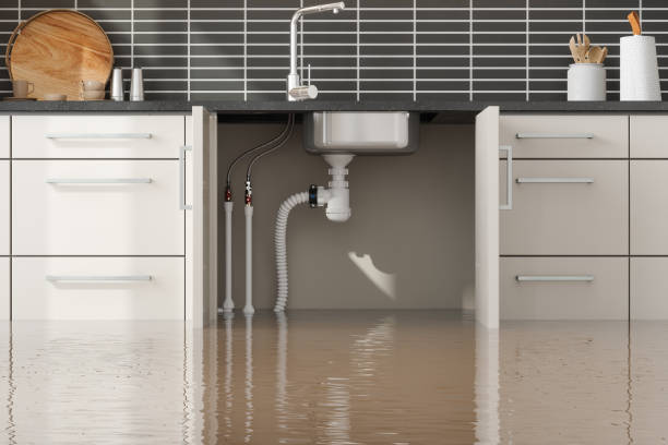 Best Carpet water damage restoration  in Fairview, OR