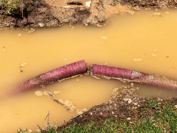 Best Local water damage restoration  in Fairview, OR