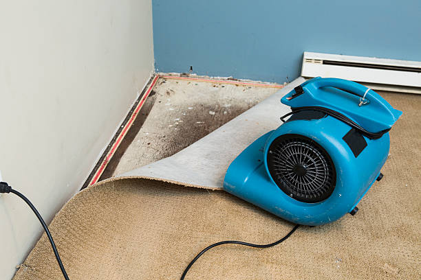 Best Water damage restoration experts  in Fairview, OR